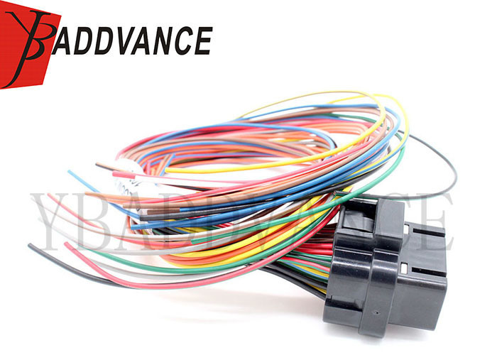 34 Pin Female Sealed ECU Tyco AMP Connectors With 400mm Wire Loom A 7-1866487-1