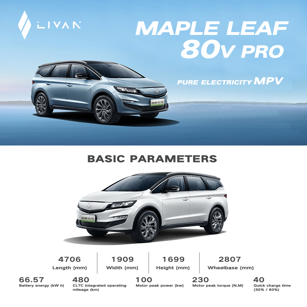 Advanced Energy Technology Geely Livan Electric Car with CATL or Gotion tech Battery and 5-door-6-seater Body Structure