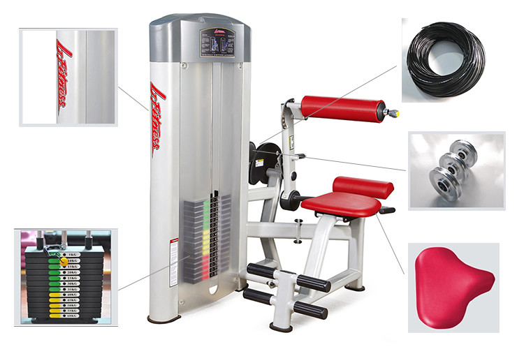 Commercial Grade Gym Life Fitness Strength Equipment For Back Extension
