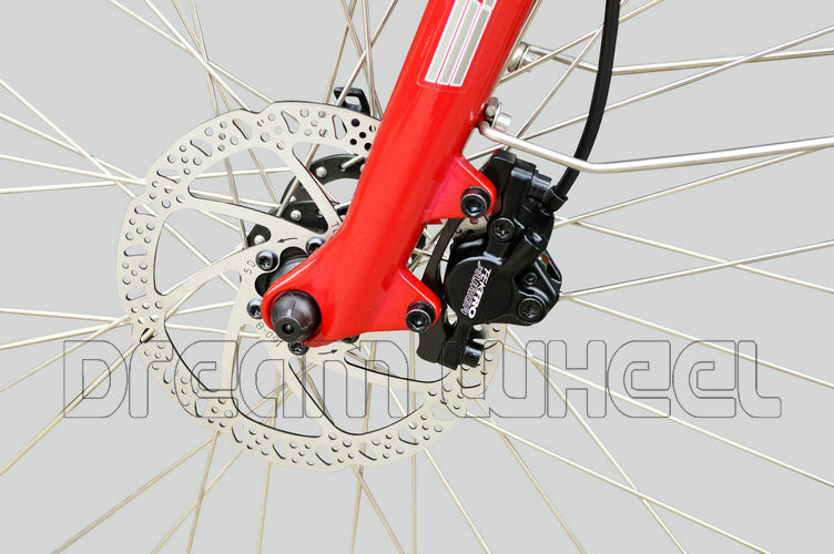 36V 10.4Ah Electric City Ebike 250W Gear Motor