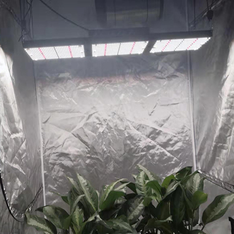 320 Watt Commercial LED Grow Lights Quantum Board Style SAMSUNG 301H