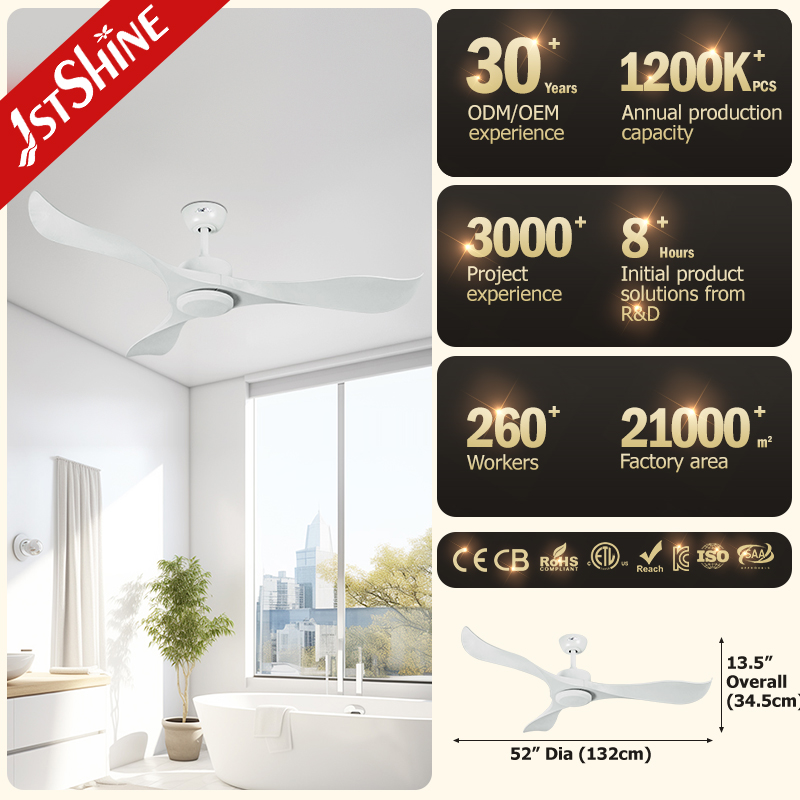 ceiling fan