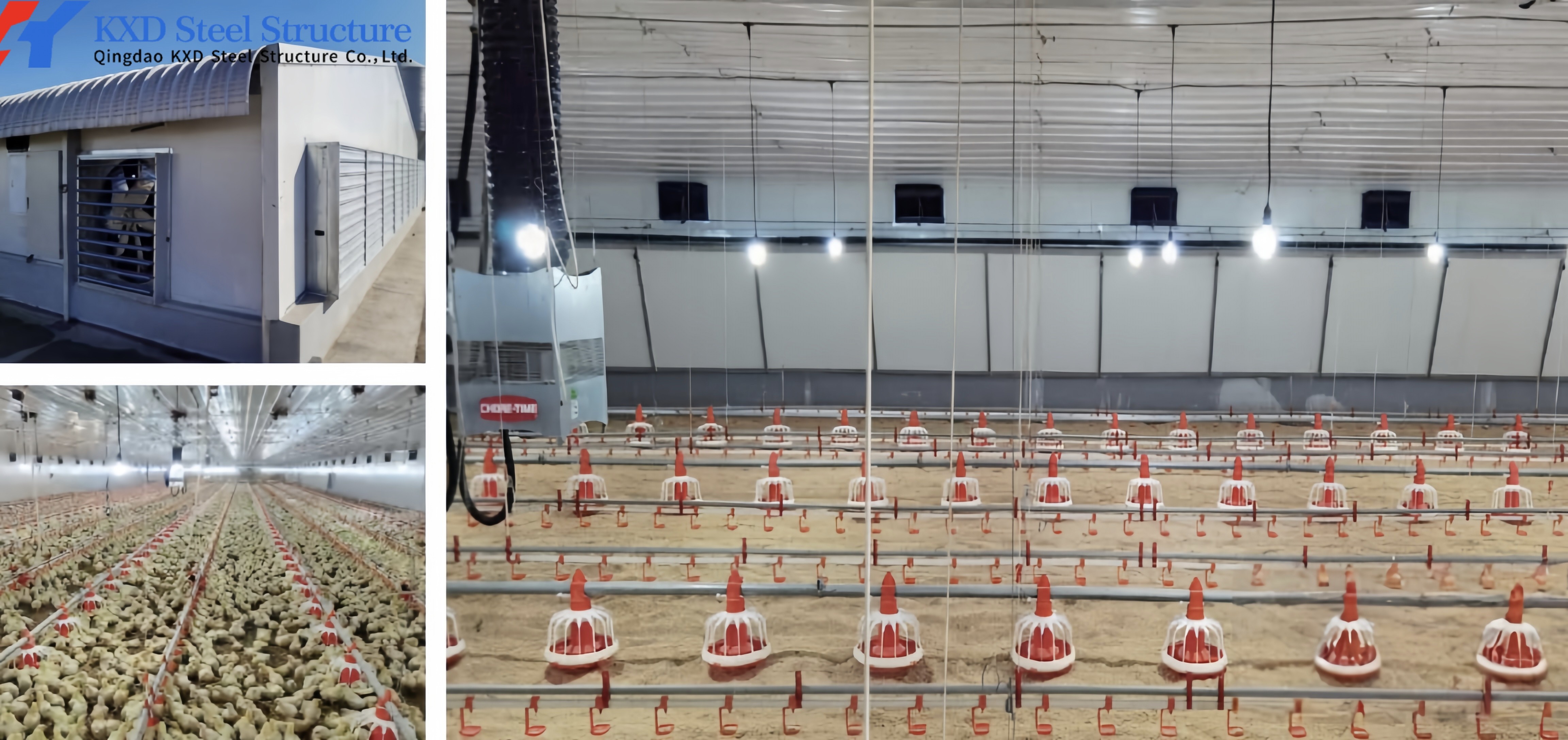 KXD Broiler Poultry Equipment Automatic Poultry Farm Plastic Slatted Flooring