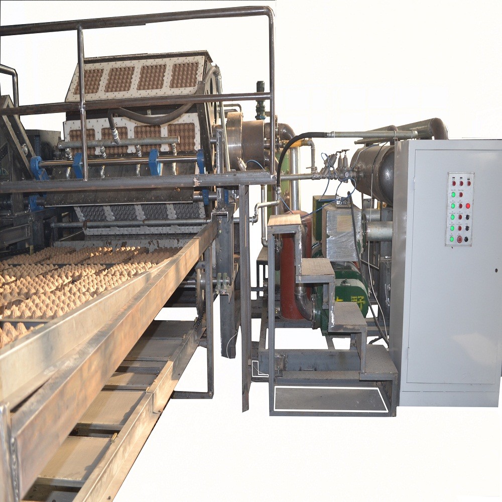 Full Automatic Paper Egg Tray Machine Paper Fruit Apple Plate Dish Making Machine