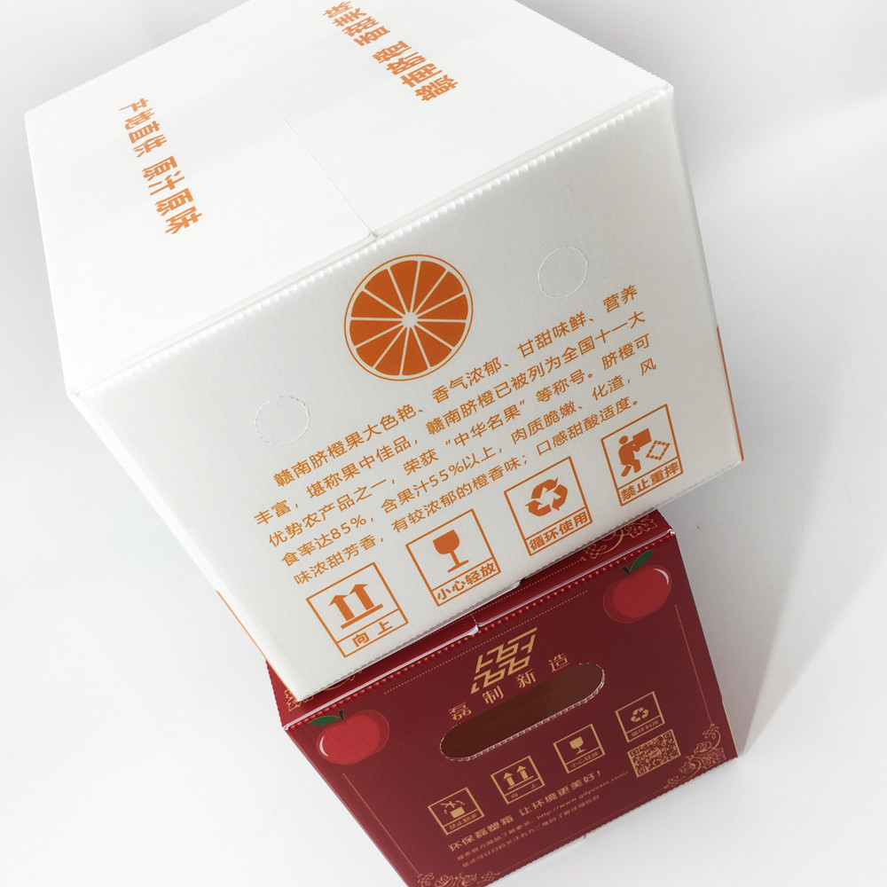 Custom Printed Corrugated Plastic Fruit Boxes Recyclable Vermin Proof