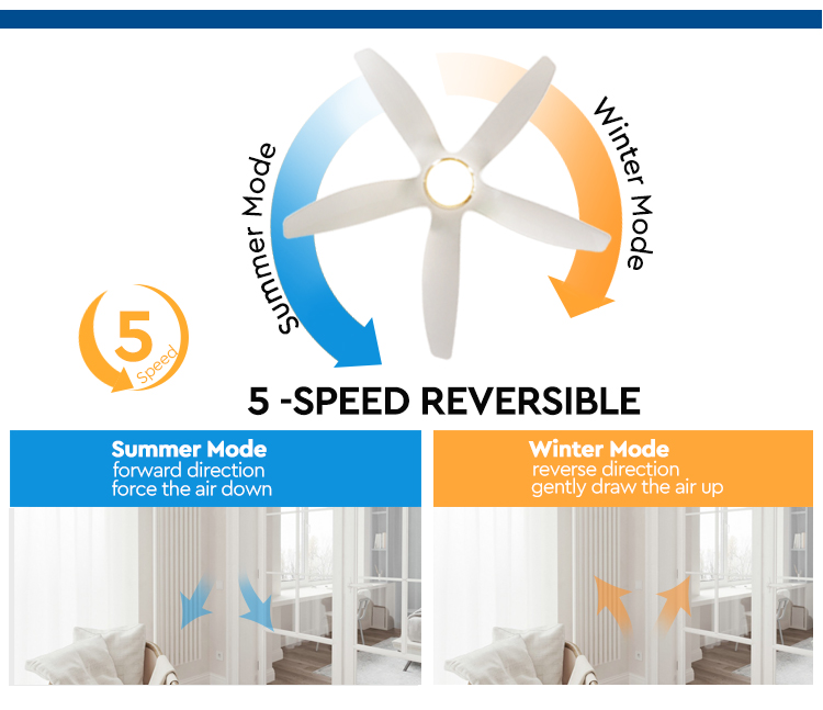 60" 5-Blade ABS LED Ceiling Fan with Light REACH Certified Low Energy Consumption