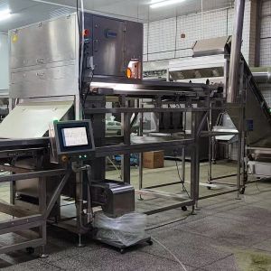 Buy cheap Accurate Optical Sweet Potato Dice Sorting Machine product