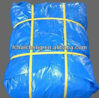 olive green and white pe tarpaulin used outdoor for carwash