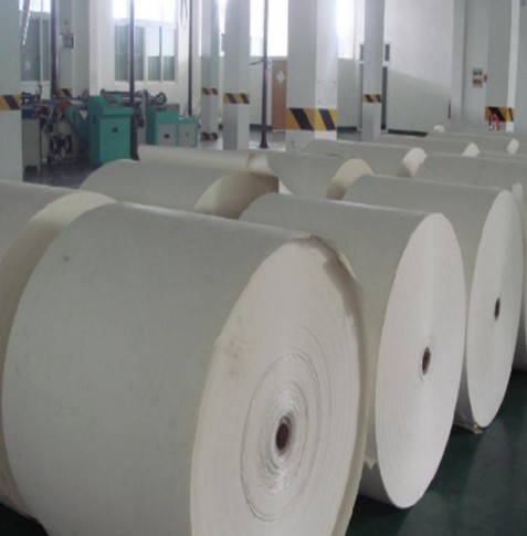 OEM 190gsm 260gsm PE Coated Cup Stock Paper In Roll Sheet