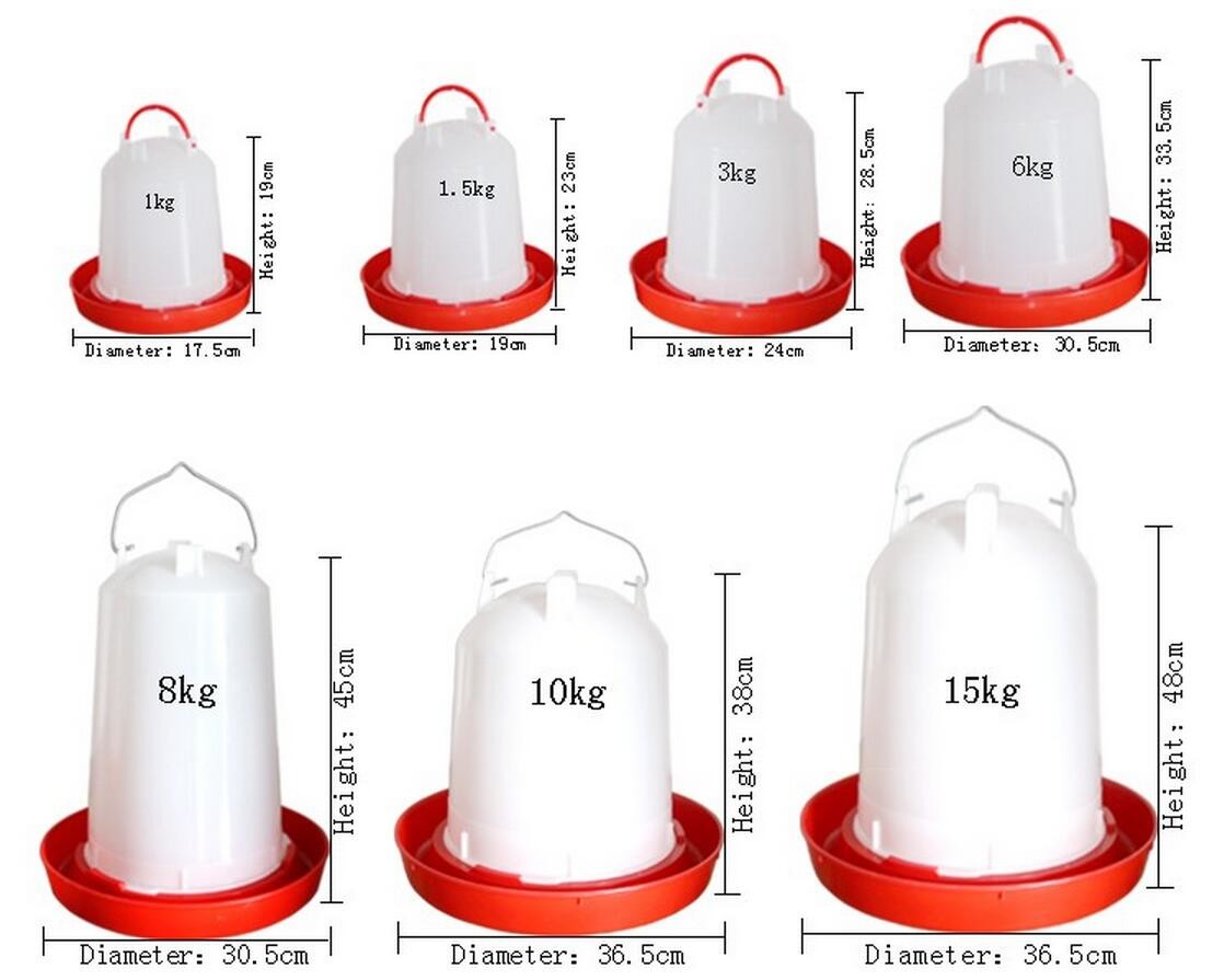 High Quality Poultry Farming Automatic Plastic Chicken Feeders and Drinkers QL603