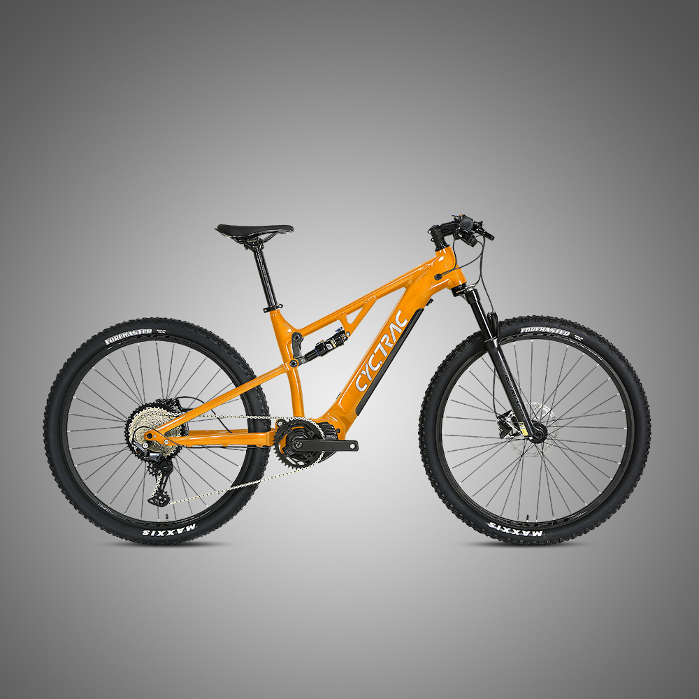 48V Mid Drive Carbon Fiber Thru-Axle Boost Frame Inner Cables Electric Bicycle EM6 Ebike