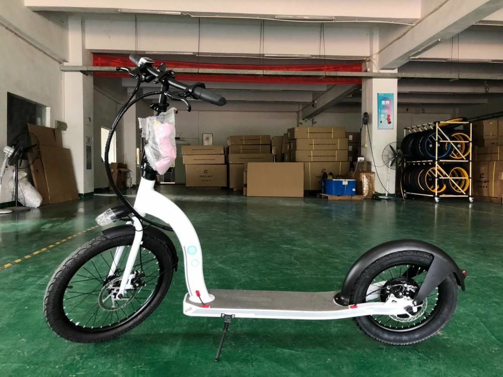 16 Inch Electric Scooter Cycle Adult Bike Front 20 Inch Rear Big Tyre 36v 10Ah