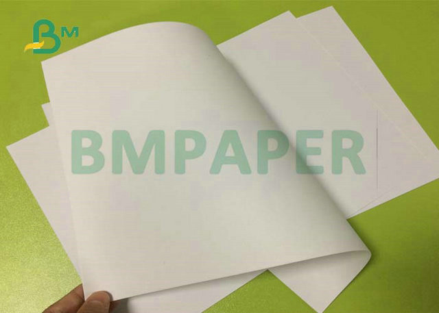 60gsm 70gsm Uncoated Woodfree Paper White Jumbo Rolls 330mm 440mm for Printing 