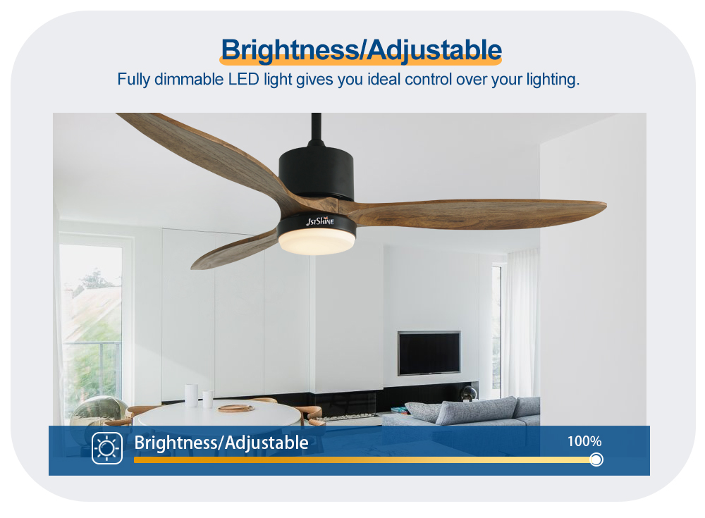 ceiling fan