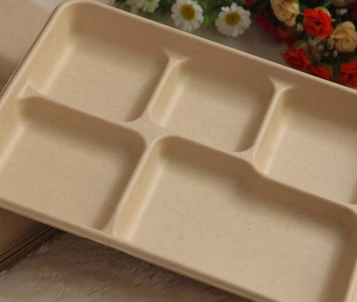 5 compartments Biodegradable Straw pulp food containers paper food trays