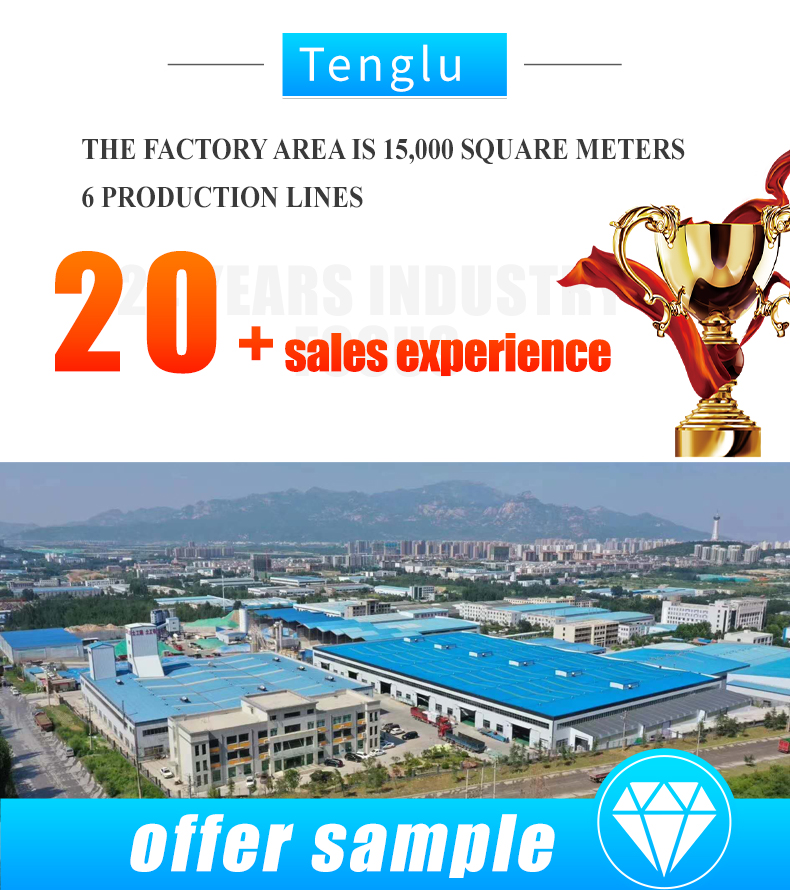 Parking Lot and Driveway HDPE Plastic Grass Grid Paver CE/ISO9001/ISO14001 Certified