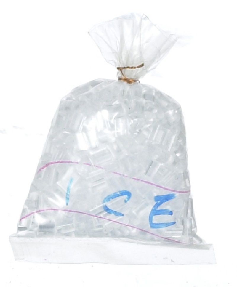 10LBS Reusable Ice Bags