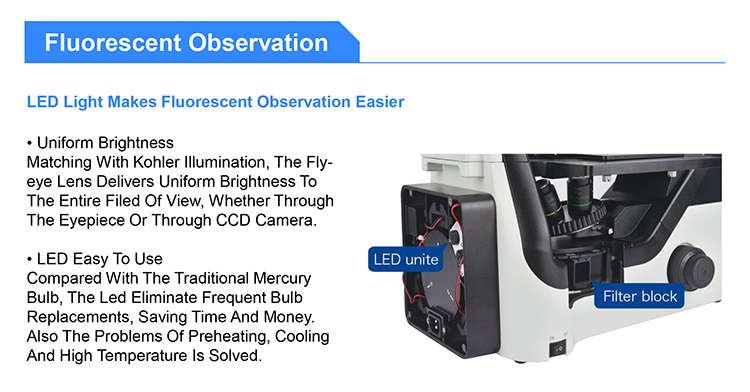 OPTO EDU A16.1064 Inverted Fluorescent Microscope B G U Long Working Distance