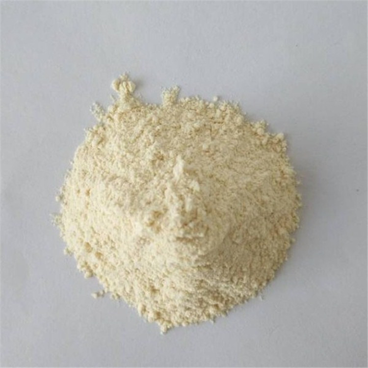 Pharmaceutical Grade Anti Cancer Galangal Powder