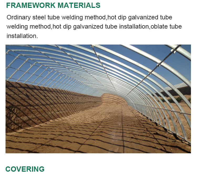 Chinese Style Metal Frame Solar Prefab Tomato Greenhouse for Outdoors and Agriculture