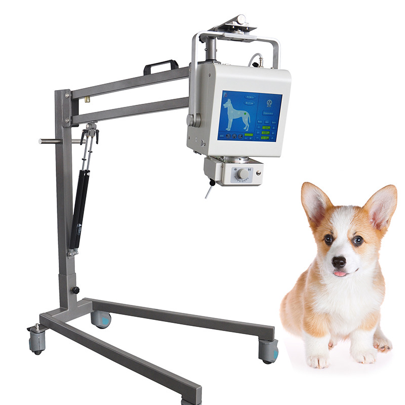 Hot sale X ray veterinary