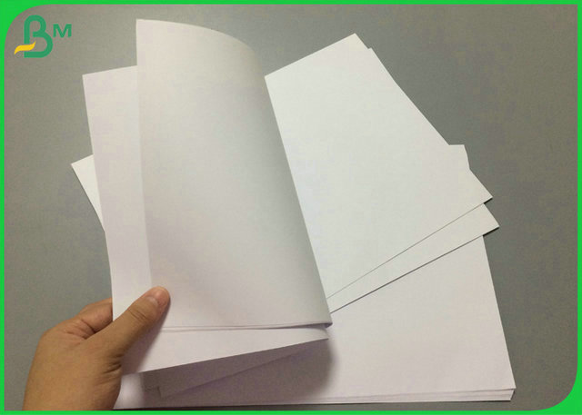 www.kraftpaper-rolls.com 