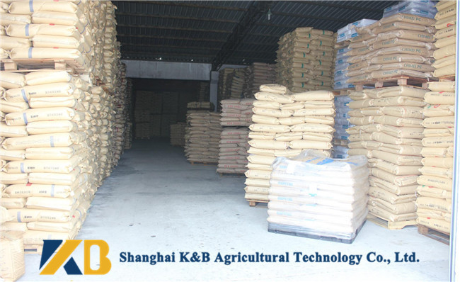 Brown Color Cattle Feed Supplements 60% Protein Content For Livestock Feed