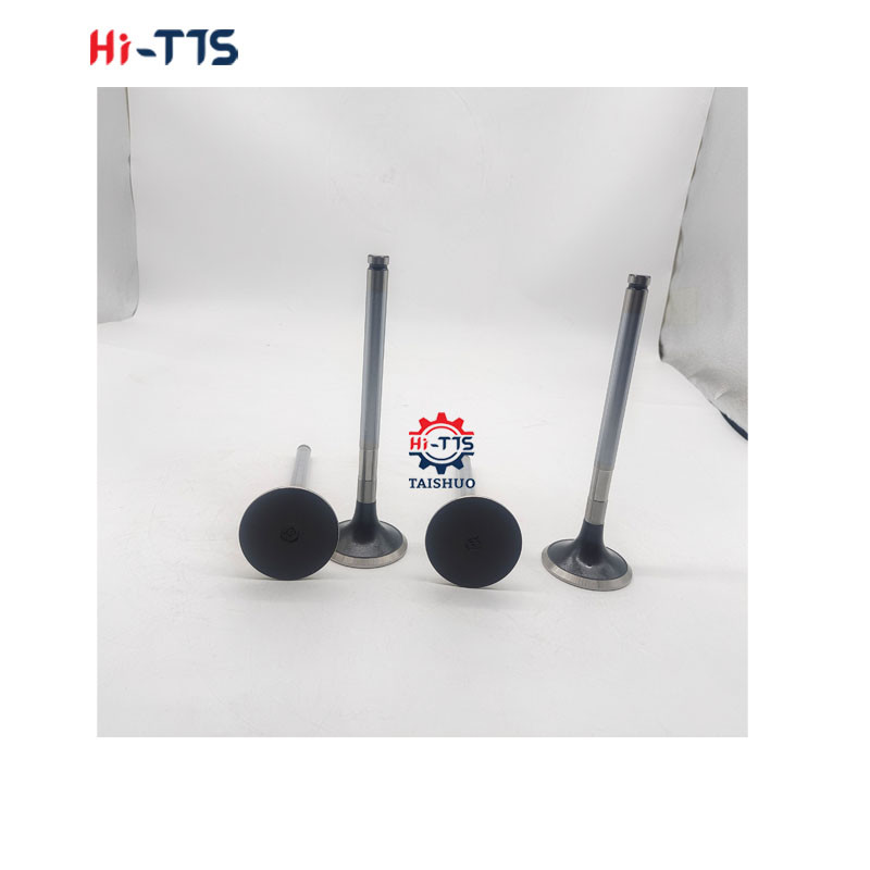 D2366 Diesel Engine Spare Parts Inlet Valve 6504101-0044
