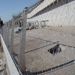 Buy cheap Stainless Steel Wire Rope Mesh product