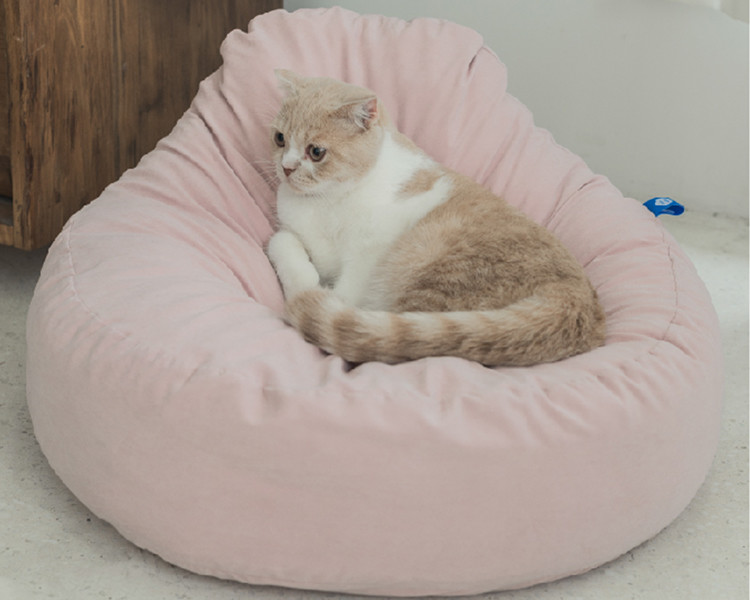 Plush Orthopedic Completely Washable Dog Bed