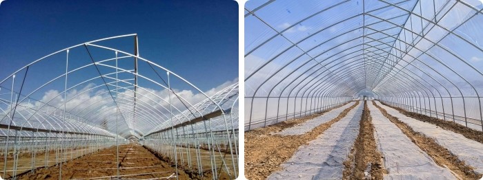 10ft Plastic Film Sawtooth Greenhouse Tunnel Tropical Top Ventilation Tomato Growing