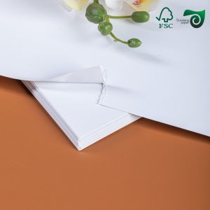 American Bristol Paper Board 250gsm 300gsm FSC For Sheet Printing Applications