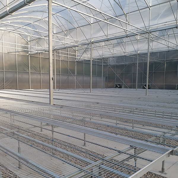 Industrial Flower Commercial High Tunnel Greenhouse With Fixed Roof Windows
