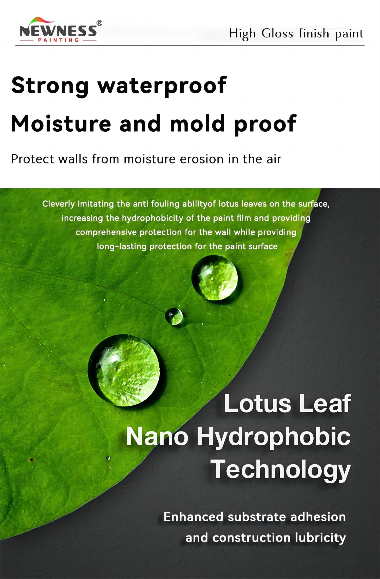Single Component Natural Paint Alkali-Resistant Clear Lacquer Primer Coat EINECS No. 202-415-4