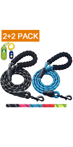 dog leash