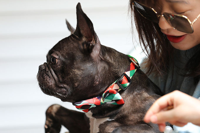 3.94in 10cm Red Rainbow Dog Bowtie Plaid Dog Collar With Bow