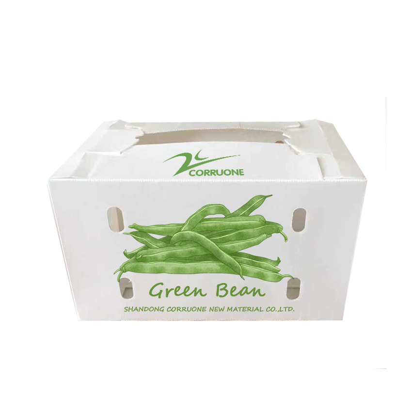 Corn Corflute Box Vegetable Corrugated Boxes Recyclable Custom Size