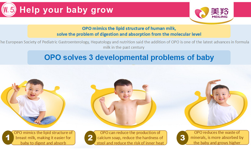 800g/Tin Sterilized Formula Infant Goat Milk Powder