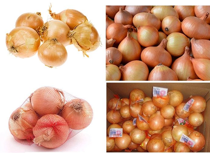 Healthy 6cm Sweet Yellow Onion For Middle Aged