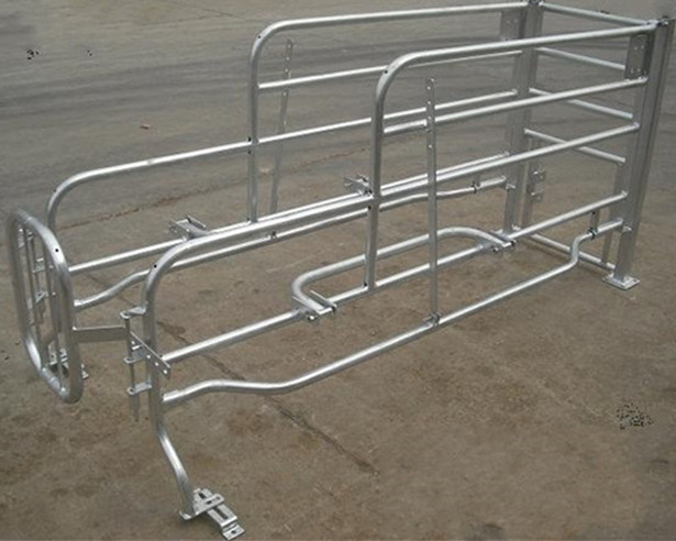cheap price steel pig farrwoing crate for sale galvanized stall for pig
