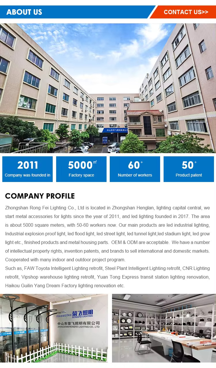 IP65 Protection High-Performance LED Outdoor Street Lights Adjustable Bracket Design
