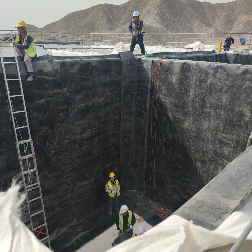 Industrial Design Style 1mm 0.8mm Biodigester Geomembrane for Fish Farm Pond Liner