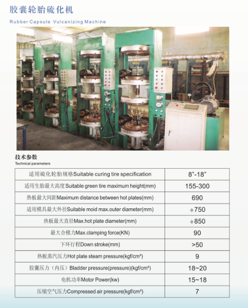 220V Motorcycle Capsule Vulcanizing Press for Green/Customized Outer Tyre Production