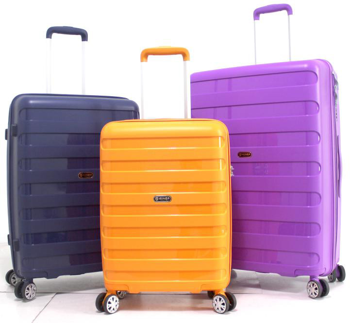 210D PP Trolley Luggage