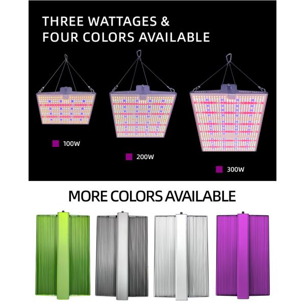Full Spectrum Quantum Board Grow Light 100W 200W 300W For Grow Tent Seedling