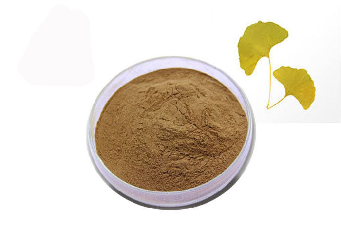 24% Flavones 6% Lactones Pure Natural Ginkgo Biloba Extract Powder