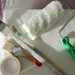 Painter Plastic Drop Cloths