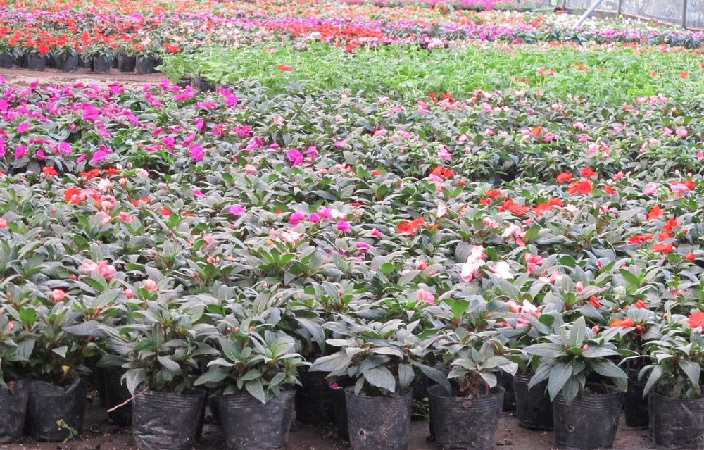 Winter Daphne PE Black 3 Gallon Plant Pots 23cm Height Deep Nursery Pots