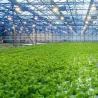 Buy cheap Soilless Culture Film Greenhouse Design for Vegetables and Temporary Heating from wholesalers
