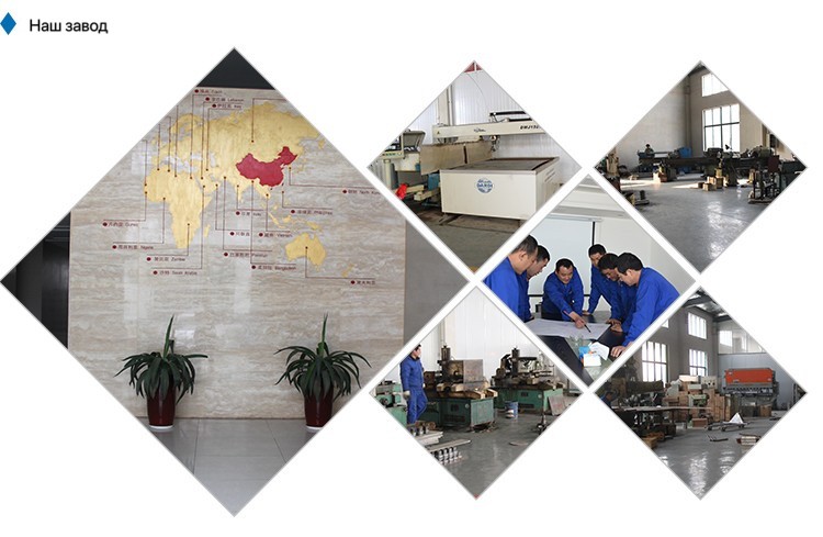 Automatic Poultry Farm Machinery Duck Turkey Chicken Slaughter Bleeding Equipment